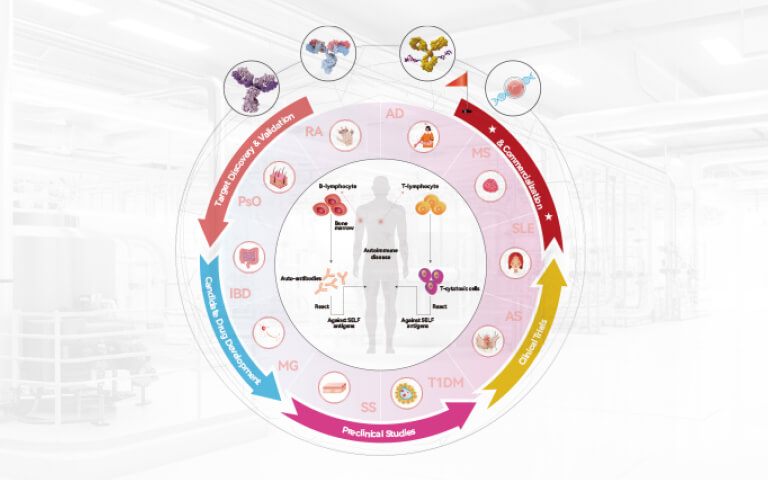 Decoding Autoimmunity: An End-to-End Platform from Mechanistic Insight to Drug Development